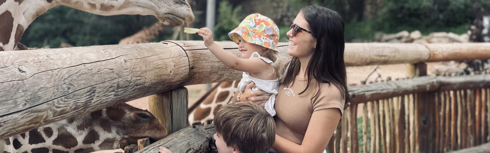 Au pair life abroad au pair with two host kids in a zoo feeding giraffes